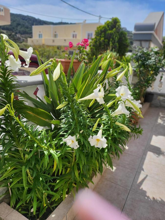 Roumeliotis House Lägenhet Karpathos Exteriör bild